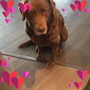 Meet your Posher, Bucky